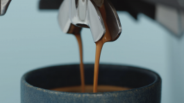 CLAUDIA SCHRÖDER | CINEMATOGRAPHER