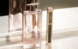 CLAUDIA SCHRÖDER | CINEMATOGRAPHER